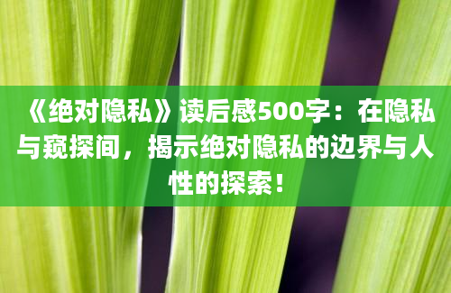 《绝对隐私》读后感500字：在隐私与窥探间，揭示绝对隐私的边界与人性的探索！