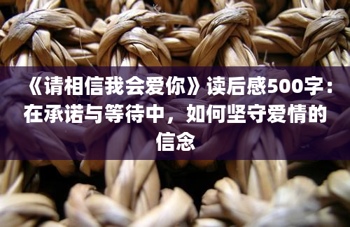 《请相信我会爱你》读后感500字：在承诺与等待中，如何坚守爱情的信念