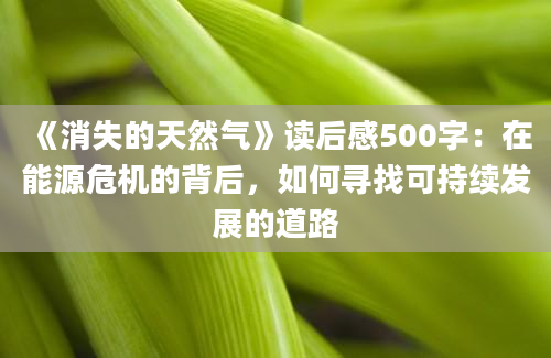 《消失的天然气》读后感500字：在能源危机的背后，如何寻找可持续发展的道路