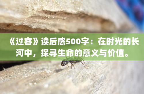 《过客》读后感500字：在时光的长河中，探寻生命的意义与价值。