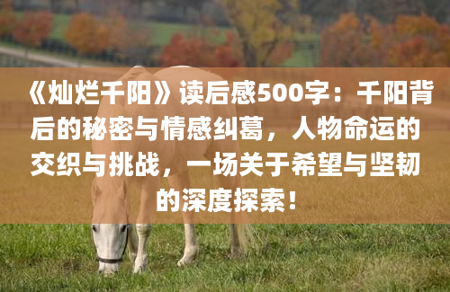 《灿烂千阳》读后感500字：千阳背后的秘密与情感纠葛，人物命运的交织与挑战，一场关于希望与坚韧的深度探索！