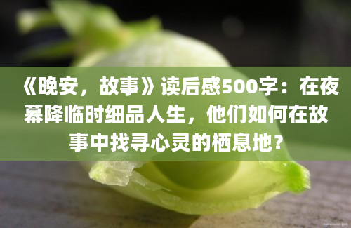 《晚安，故事》读后感500字：在夜幕降临时细品人生，他们如何在故事中找寻心灵的栖息地？