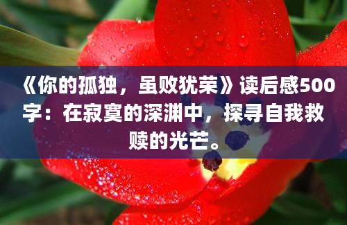 《你的孤独，虽败犹荣》读后感500字：在寂寞的深渊中，探寻自我救赎的光芒。