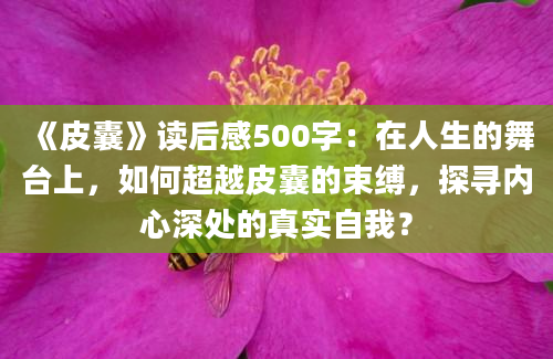 《皮囊》读后感500字：在人生的舞台上，如何超越皮囊的束缚，探寻内心深处的真实自我？