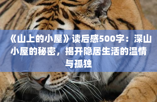 《山上的小屋》读后感500字：深山小屋的秘密，揭开隐居生活的温情与孤独