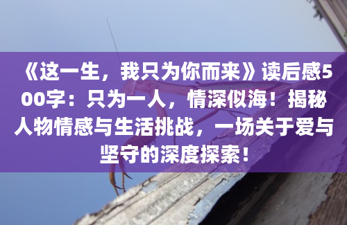 《这一生，我只为你而来》读后感500字：只为一人，情深似海！揭秘人物情感与生活挑战，一场关于爱与坚守的深度探索！