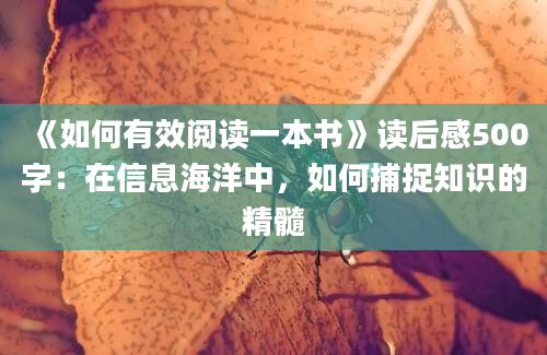 《如何有效阅读一本书》读后感500字：在信息海洋中，如何捕捉知识的精髓