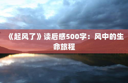 《起风了》读后感500字：风中的生命旅程