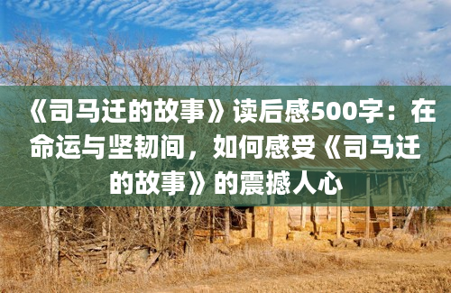 《司马迁的故事》读后感500字：在命运与坚韧间，如何感受《司马迁的故事》的震撼人心