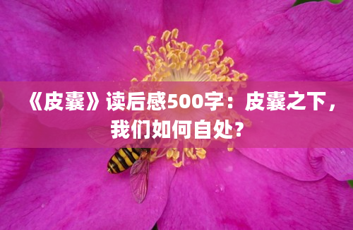 《皮囊》读后感500字：皮囊之下，我们如何自处？