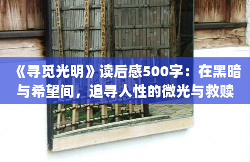 《寻觅光明》读后感500字：在黑暗与希望间，追寻人性的微光与救赎