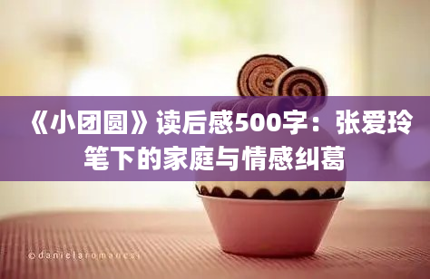 《小团圆》读后感500字：张爱玲笔下的家庭与情感纠葛