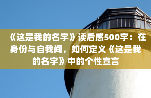 《这是我的名字》读后感500字：在身份与自我间，如何定义《这是我的名字》中的个性宣言