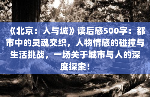 《北京：人与城》读后感500字：都市中的灵魂交织，人物情感的碰撞与生活挑战，一场关于城市与人的深度探索！