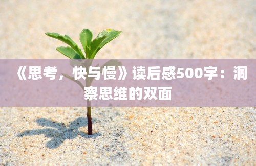 《思考，快与慢》读后感500字：洞察思维的双面