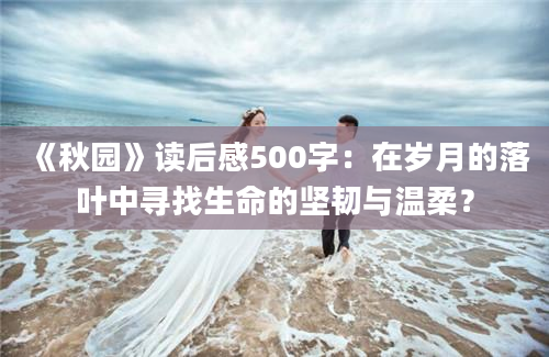 《秋园》读后感500字：在岁月的落叶中寻找生命的坚韧与温柔？