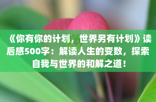 《你有你的计划，世界另有计划》读后感500字：解读人生的变数，探索自我与世界的和解之道！