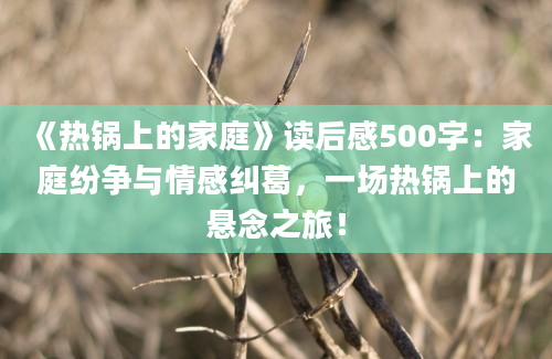 《热锅上的家庭》读后感500字：家庭纷争与情感纠葛，一场热锅上的悬念之旅！