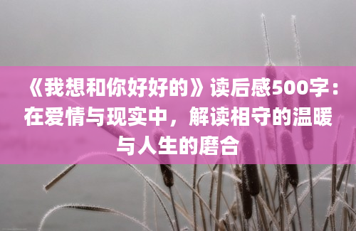 《我想和你好好的》读后感500字：在爱情与现实中，解读相守的温暖与人生的磨合