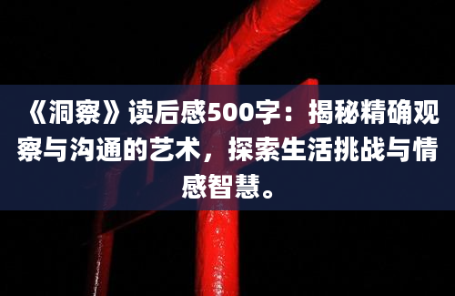 《洞察》读后感500字：揭秘精确观察与沟通的艺术，探索生活挑战与情感智慧。