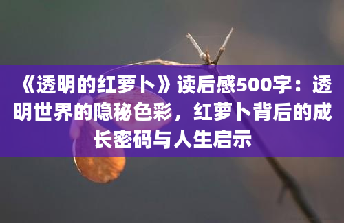 《透明的红萝卜》读后感500字：透明世界的隐秘色彩，红萝卜背后的成长密码与人生启示