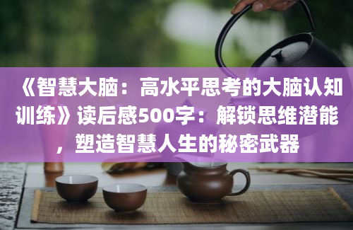 《智慧大脑：高水平思考的大脑认知训练》读后感500字：解锁思维潜能，塑造智慧人生的秘密武器