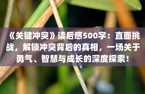 《关键冲突》读后感500字：直面挑战，解锁冲突背后的真相，一场关于勇气、智慧与成长的深度探索！