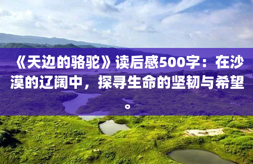 《天边的骆驼》读后感500字：在沙漠的辽阔中，探寻生命的坚韧与希望。