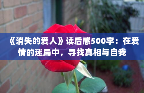 《消失的爱人》读后感500字：在爱情的迷局中，寻找真相与自我