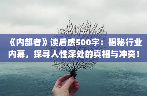 《内部者》读后感500字：揭秘行业内幕，探寻人性深处的真相与冲突！