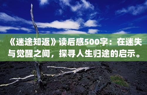 《迷途知返》读后感500字：在迷失与觉醒之间，探寻人生归途的启示。