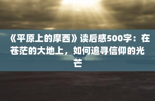 《平原上的摩西》读后感500字：在苍茫的大地上，如何追寻信仰的光芒