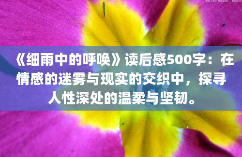 《细雨中的呼唤》<a href=https://www.baixuetang.com target=_blank class=infotextkey>读后感</a>500字：在情感的迷雾与现实的交织中，探寻人性深处的温柔与坚韧。