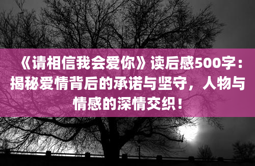 《请相信我会爱你》读后感500字：揭秘爱情背后的承诺与坚守，人物与情感的深情交织！