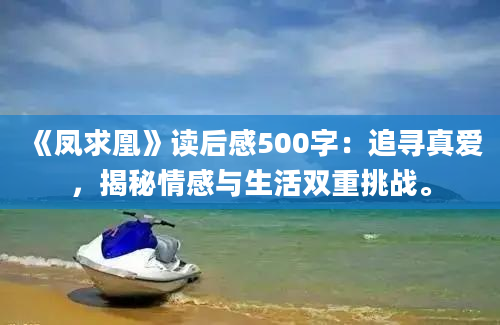 《凤求凰》读后感500字：追寻真爱，揭秘情感与生活双重挑战。