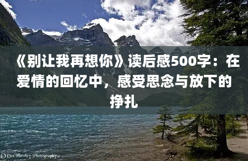 《别让我再想你》读后感500字：在爱情的回忆中，感受思念与放下的挣扎