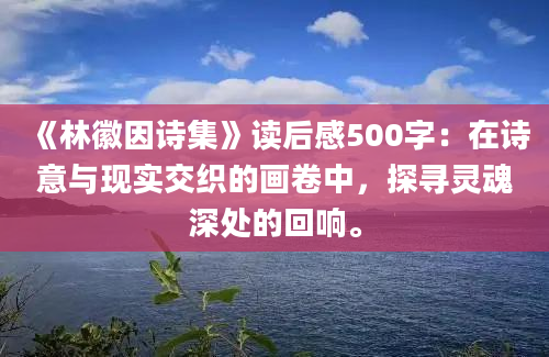 《林徽因诗集》读后感500字：在诗意与现实交织的画卷中，探寻灵魂深处的回响。