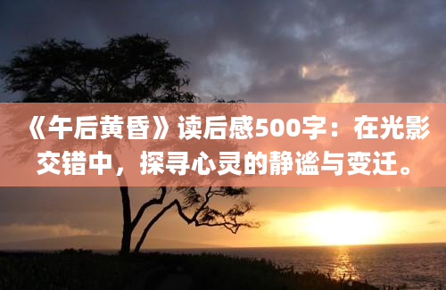 《午后黄昏》读后感500字：在光影交错中，探寻心灵的静谧与变迁。