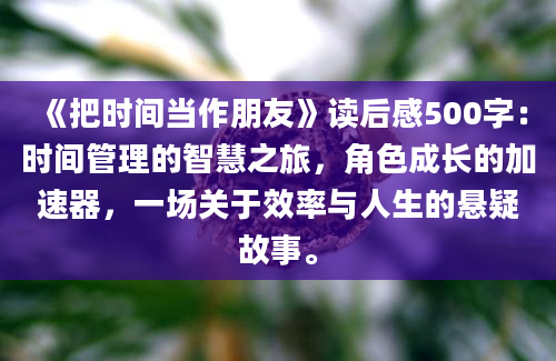 《把时间当作朋友》读后感500字：时间管理的智慧之旅，角色成长的加速器，一场关于效率与人生的悬疑故事。