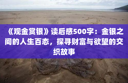 《观金赏银》读后感500字：金银之间的人生百态，探寻财富与欲望的交织故事