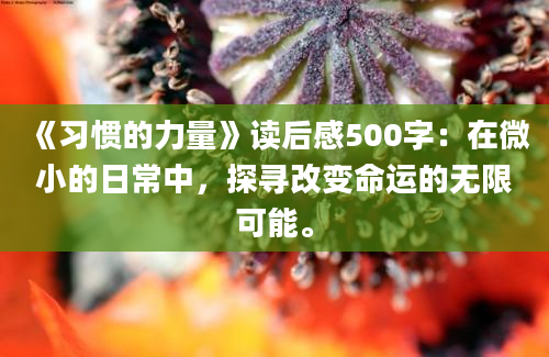 《习惯的力量》读后感500字：在微小的日常中，探寻改变命运的无限可能。