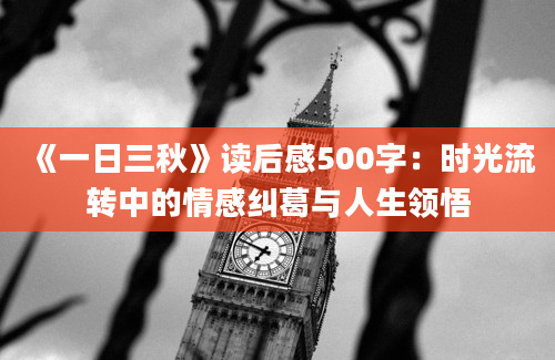 《一日三秋》读后感500字：时光流转中的情感纠葛与人生领悟