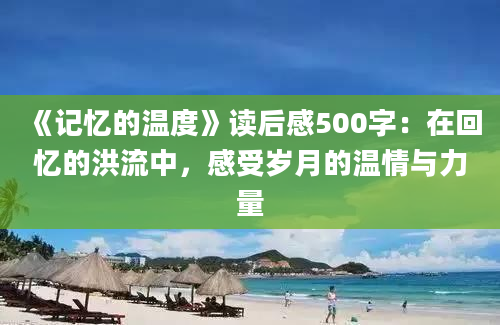 《记忆的温度》读后感500字：在回忆的洪流中，感受岁月的温情与力量