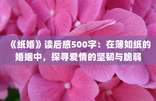 《纸婚》读后感500字：在薄如纸的婚姻中，探寻爱情的坚韧与脆弱