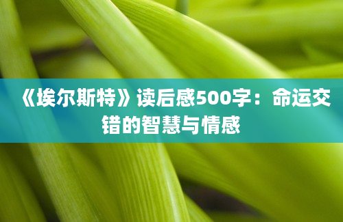 《埃尔斯特》读后感500字：命运交错的智慧与情感