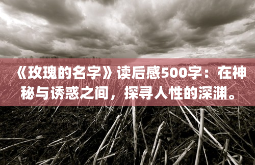 《玫瑰的名字》读后感500字：在神秘与诱惑之间，探寻人性的深渊。