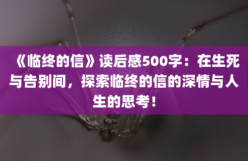 《临终的信》读后感500字：在生死与告别间，探索临终的信的深情与人生的思考！