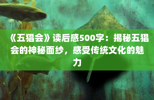 《五猖会》读后感500字：揭秘五猖会的神秘面纱，感受传统文化的魅力