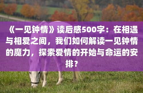 《一见钟情》读后感500字：在相遇与相爱之间，我们如何解读一见钟情的魔力，探索爱情的开始与命运的安排？