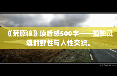 《荒原狼》读后感500字——孤独灵魂的野性与人性交织。